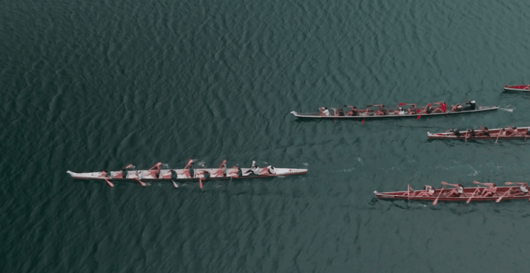 Screenshot 2026-02-13 at 3.54